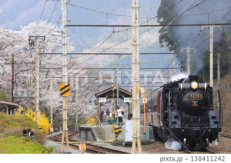 秩父鉄道「桜咲く武州日野駅とSLパレオエクスプレス号」 秩父鉄道「桜咲く武州日野駅とSLパレオエクスプレス号」 138411242