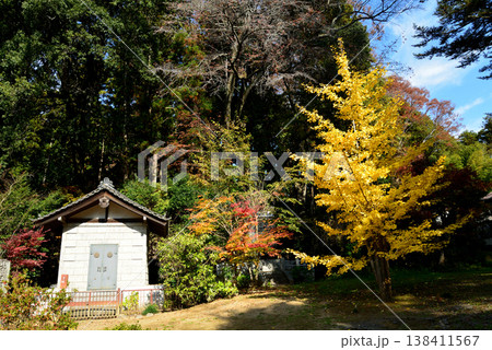 西念寺の紅葉　2025-11-16　＃22 138411567