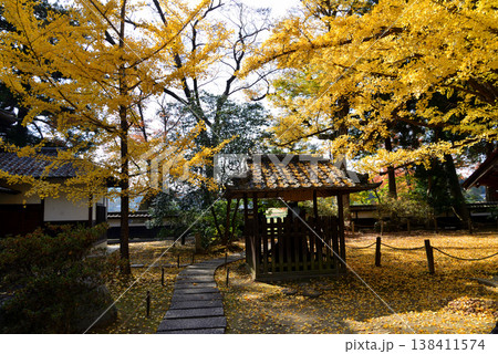 西念寺の紅葉 2025-11-16 #29 西念寺の紅葉 2025-11-16 #29 138411574