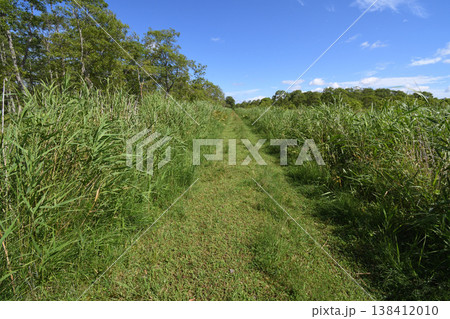 釧路湿原展望台の散策路(北海道・釧路市) 釧路湿原展望台の散策路(北海道・釧路市) 138412010