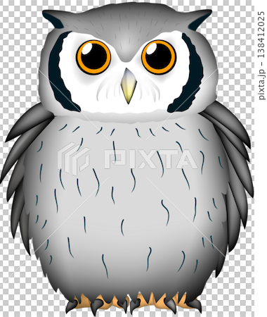 貓頭鷹插圖，非洲角鴞，向量圖。 138412025