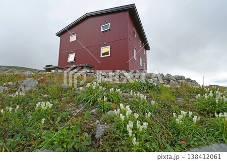 白雲岳避難小屋とクモイリンドウ（北海道・大雪山） 138412061