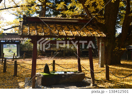 西念寺の紅葉 2025-11-16 #32 西念寺の紅葉 2025-11-16 #32 138412501
