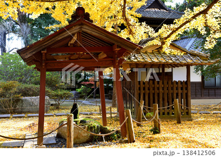 西念寺の紅葉 2025-11-16 #37 西念寺の紅葉 2025-11-16 #37 138412506