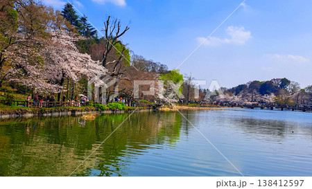 井の頭池（16:9） 138412597