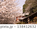 桜に囲まれた吉備津神社 138412632