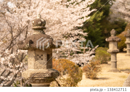 桜に囲まれた吉備津神社 桜に囲まれた吉備津神社 138412711