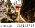 桜に囲まれた吉備津神社の廻廊 138412713