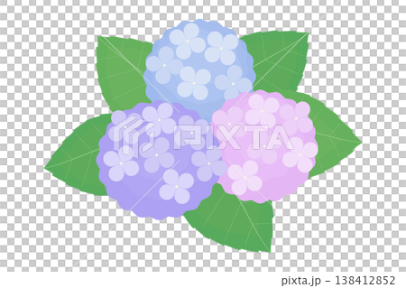 A cute illustration of three clusters of hydrangea flowers. A cute illustration of three clusters of hydrangea flowers. 138412852