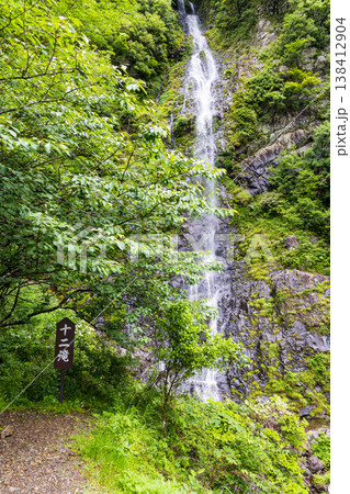 新緑の中を流れる十二滝(奈良県十津川村) 新緑の中を流れる十二滝(奈良県十津川村) 138412904