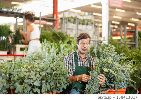 Middle-aged salesman holding bouquet of dry flowers in plants market 138413017