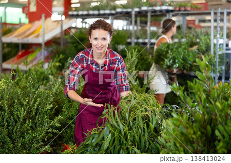 Middle-aged saleswoman holding stalks of eucalyptus in plants market Middle-aged saleswoman holding stalks of eucalyptus in plants market 138413024