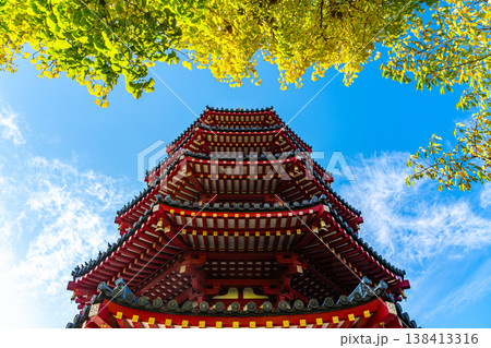 【神奈川県】川崎大師の八角五重塔と黄色に輝く銀杏 138413316