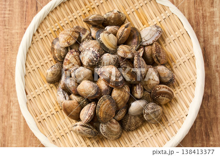 生あさり 竹ざるに盛った旬の貝の食材 138413377