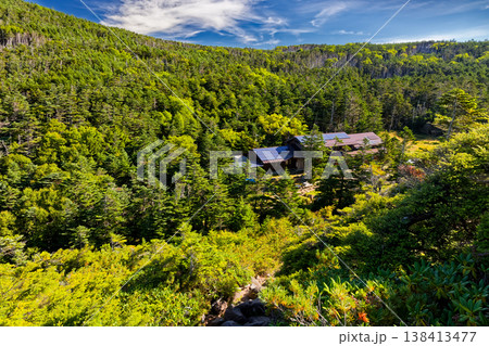 夏の八ヶ岳連峰・黒百合平と黒百合ヒュッテ 138413477