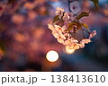 夜桜を見上げて 138413610