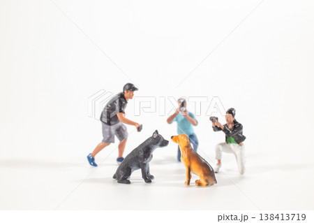 Miniature photographers capturing two dogs posing together 138413719