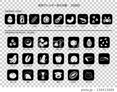 食品アレルギー表示29品目　モノクロアイコン 138413889
