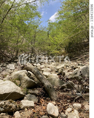 登山道から見た岩山 登山道から見た岩山 138413896