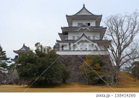 伊賀上野城（三重県 伊賀市） 138414260