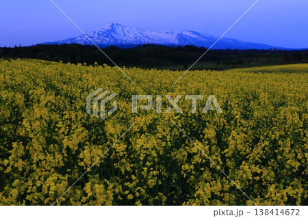 菜の花畑から望む鳥海山 138414672