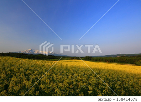 菜の花畑から望む鳥海山 138414678