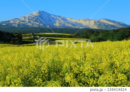 菜の花畑から望む鳥海山 菜の花畑から望む鳥海山 138414824