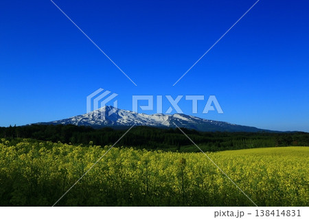 菜の花畑から望む鳥海山 138414831