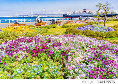 （神奈川県）横浜みなとみらい・山下公園　花壇の花々 138415513
