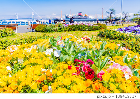 (神奈川県)横浜みなとみらい・山下公園 花壇の花々 (神奈川県)横浜みなとみらい・山下公園 花壇の花々 138415517