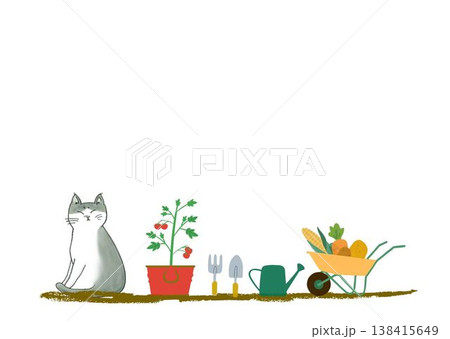 猫のいる風景 猫のいる風景 138415649