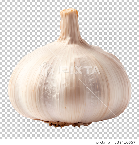 大蒜插圖材料 大蒜插圖材料 138416657