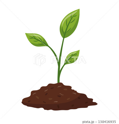 Green plant sprout growing from soil, symbol of nature, growth, and eco-friendly concept Green plant sprout growing from soil, symbol of nature, growth, and eco-friendly concept 138416935
