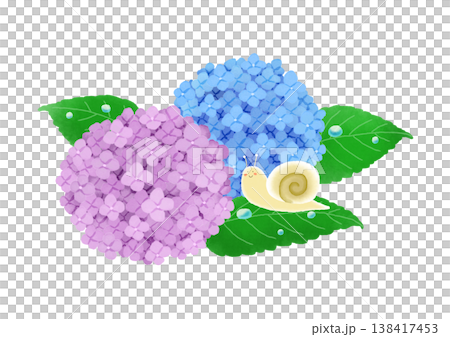 梅雨の時期のあじさいとかたつむりの水彩風イラスト 138417453