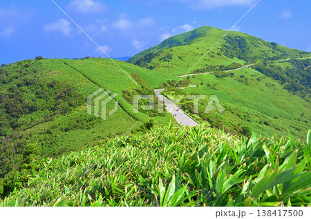 伊豆半島の伊豆山稜線歩道 草原の風景 古稀山山頂より望む達磨山 伊豆半島の伊豆山稜線歩道 草原の風景 古稀山山頂より望む達磨山 138417500