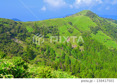 伊豆半島の伊豆山稜線歩道 古稀山より夏の緑の山地 伊豆半島の伊豆山稜線歩道 古稀山より夏の緑の山地 138417501