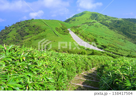 伊豆半島の伊豆山稜線歩道 草原の尾根 古稀山より達磨山を望む 伊豆半島の伊豆山稜線歩道 草原の尾根 古稀山より達磨山を望む 138417504