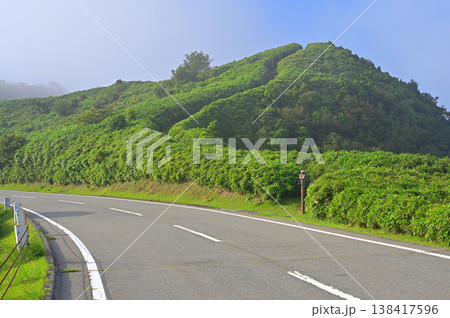 伊豆半島 伊豆山稜線歩道 西伊豆スカイラインと緑の古稀山 伊豆半島 伊豆山稜線歩道 西伊豆スカイラインと緑の古稀山 138417596