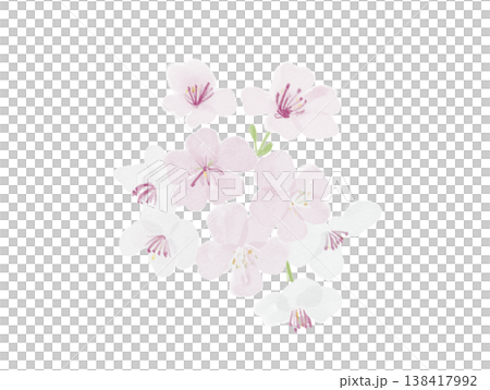 Cherry Blossoms Cherry Blossoms 138417992
