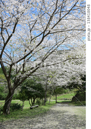 宮崎市田野町の桜 宮崎市田野町の桜 138418048