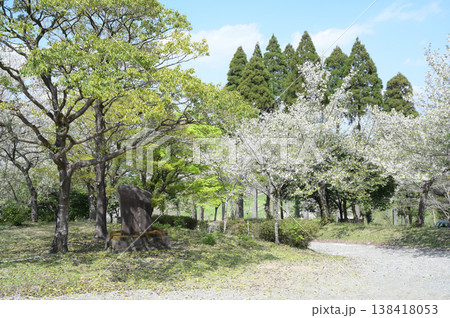 宮崎市田野町の桜 138418053