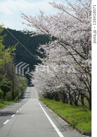 宮崎市田野町の桜 138418071