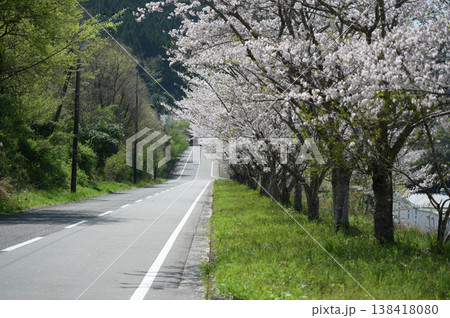 宮崎市田野町の桜 宮崎市田野町の桜 138418080