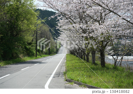 宮崎市田野町の桜 宮崎市田野町の桜 138418082
