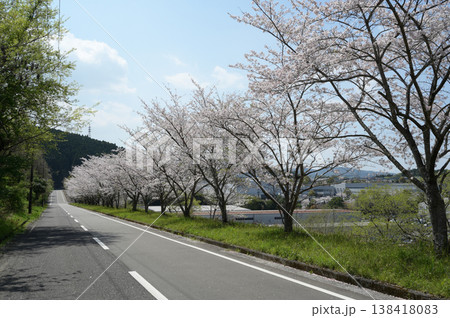 宮崎市田野町の桜 138418083