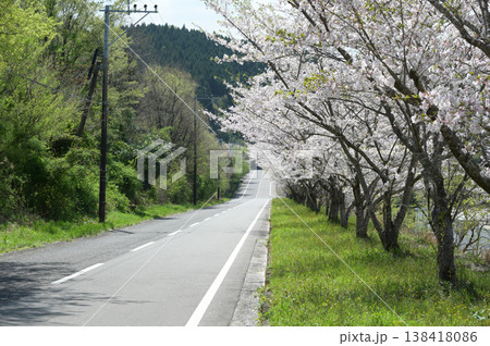 宮崎市田野町の桜 138418086