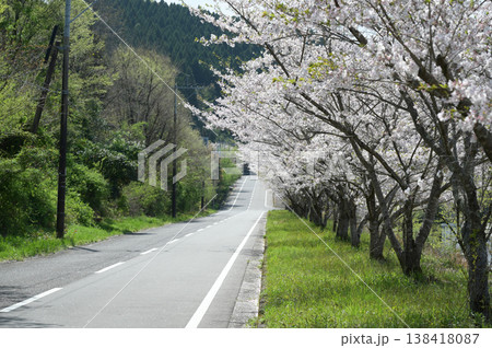 宮崎市田野町の桜 138418087