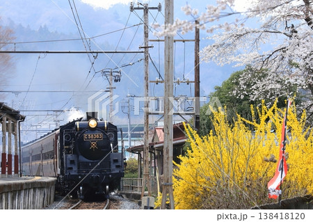 秩父鉄道「レンギョウと桜の花とSLパレオエクスプレス号」 138418120