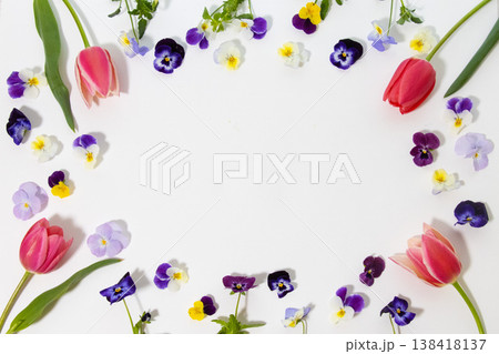 春の花の飾り枠 春の花の飾り枠 138418137