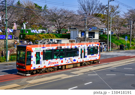 東京さくらトラム　さくら号（ 9002号車）と飛鳥山公園満開の桜　季節限定運行 138418191